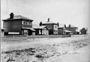 Petone state houses