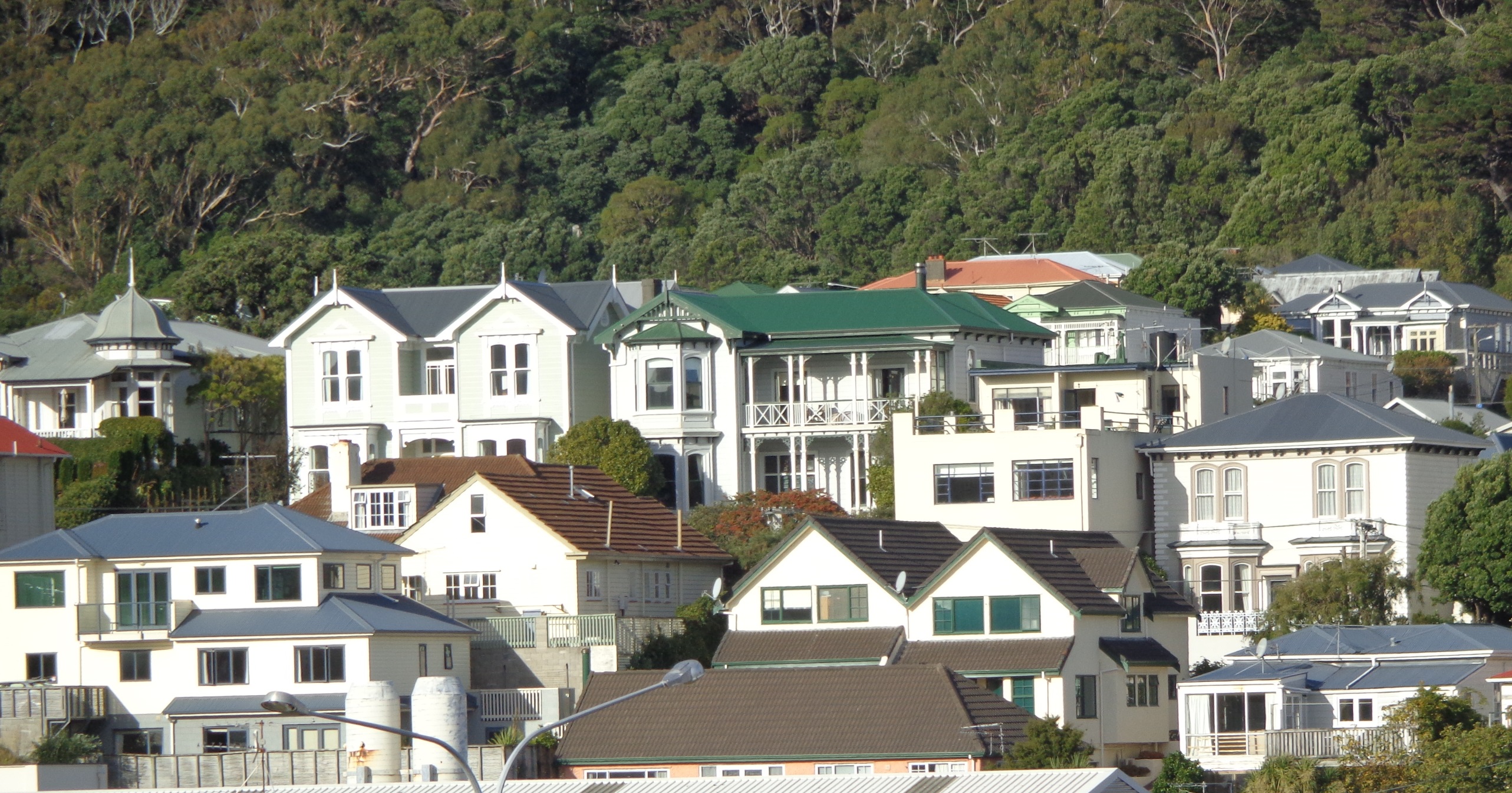 Old houses in Mt Victoria